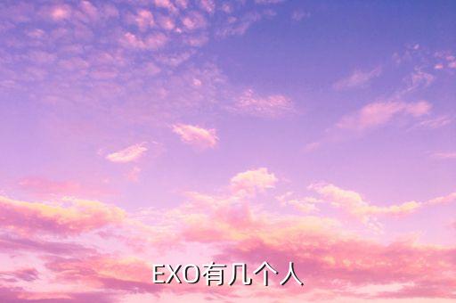 EXO有几个人