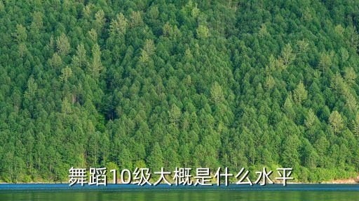  舞蹈10级大概是什么水平