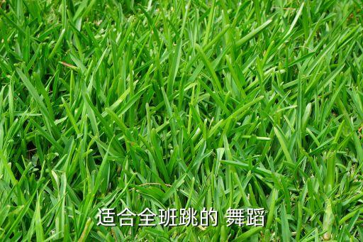 适合全班跳的 舞蹈