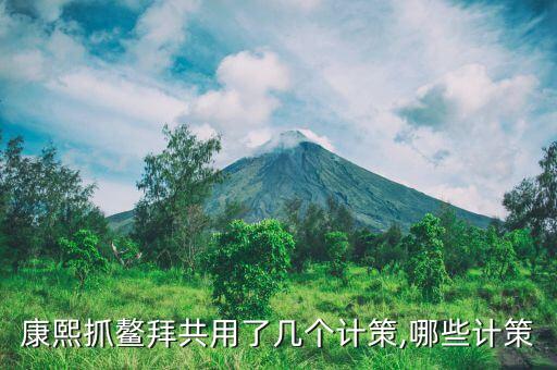 康熙抓鳌拜共用了几个计策,哪些计策