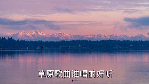  草原歌曲谁唱的好听