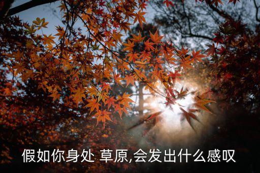 假如你身处 草原,会发出什么感叹