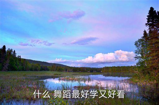 什么 舞蹈最好学又好看