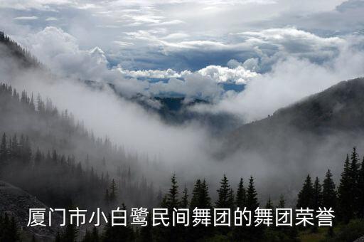 厦门市小白鹭民间舞团的舞团荣誉