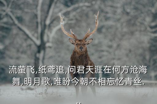流萤飞,纸鸢追,问君天涯在何方沧海舞,明月歌,唯盼今朝不相忘忆青丝...