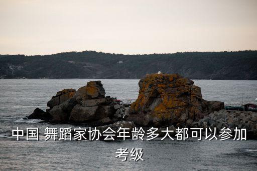 中国 舞蹈家协会年龄多大都可以参加 考级