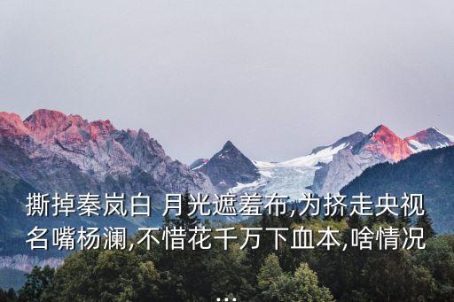 撕掉秦岚白 月光遮羞布,为挤走央视名嘴杨澜,不惜花千万下血本,啥情况...