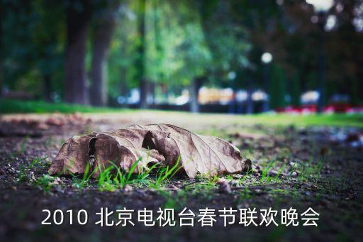 2010 北京电视台春节联欢晚会
