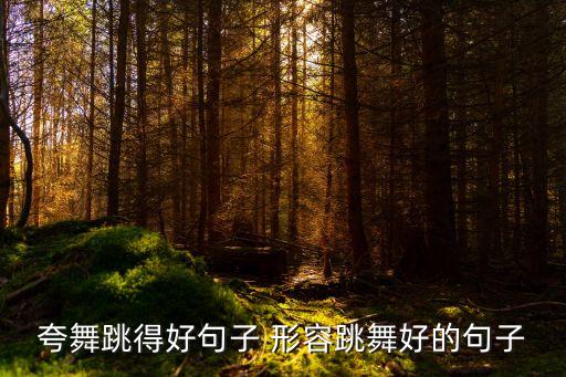 夸舞跳得好句子 形容跳舞好的句子