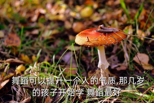  舞蹈可以提升一个人的气质,那几岁的孩子开始学 舞蹈最好