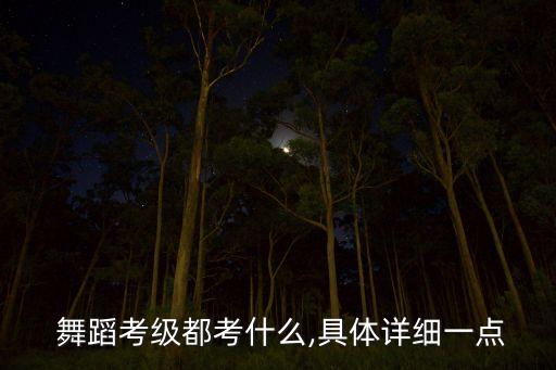  舞蹈考级都考什么,具体详细一点
