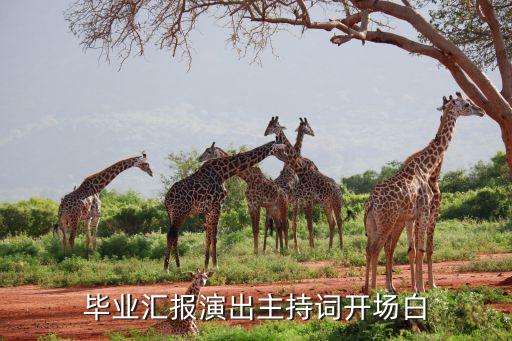 吉祥舞蹈肖老师,静静老师的吉祥舞蹈教学