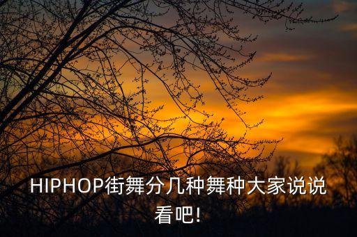 HIPHOP街舞分几种舞种大家说说看吧!