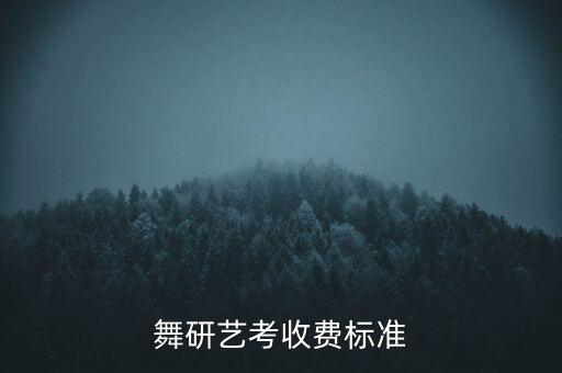 舞研艺考收费标准