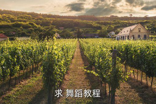 求 舞蹈教程