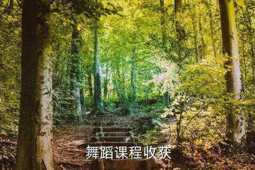  舞蹈课程收获