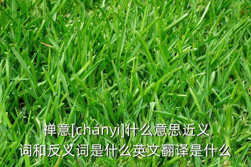 舞蹈与禅意,菩提本无树禅意舞蹈