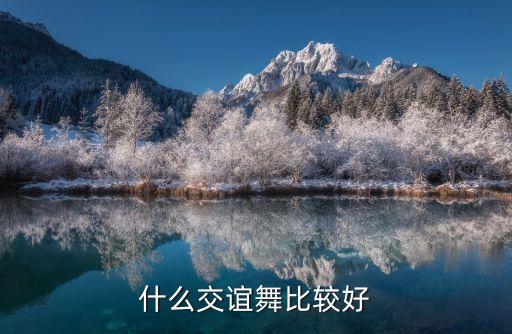 什么交谊舞比较好