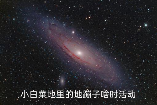 小白菜地里的地蹦子啥时活动