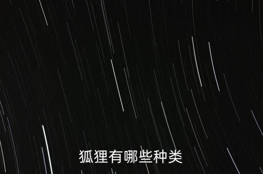 狐狸有哪些种类