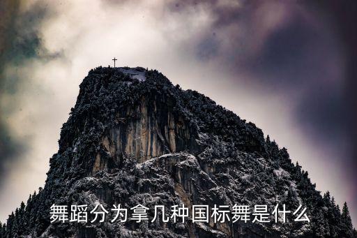 体育舞蹈锦标赛分组,中国大学生体育舞蹈锦标赛