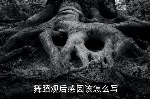  舞蹈观后感因该怎么写