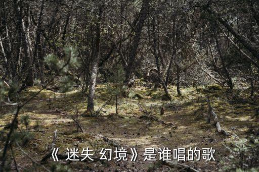 迷失幻境的舞蹈小学生