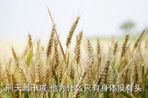 刑天舞干戚,他为什么只有身体没有头
