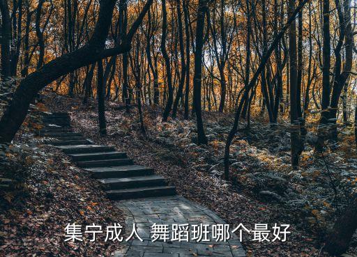 集宁成人 舞蹈班哪个最好