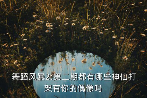  舞蹈风暴2:第二期都有哪些神仙打架有你的偶像吗
