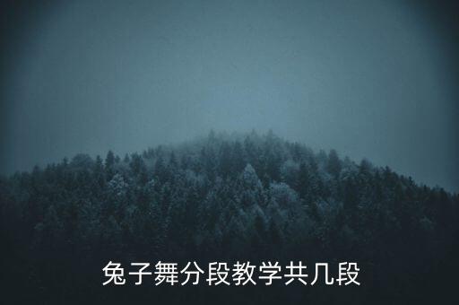  兔子舞分段教学共几段