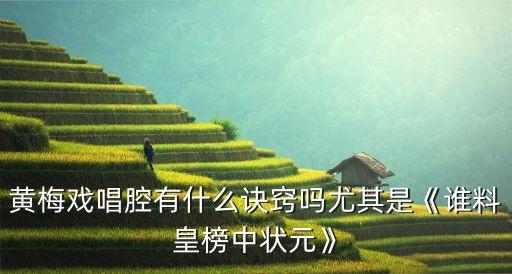 黄梅戏唱腔有什么诀窍吗尤其是《谁料皇榜中状元》