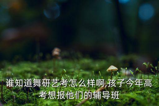 谁知道舞研艺考怎么样啊,孩子今年高考想报他们的辅导班