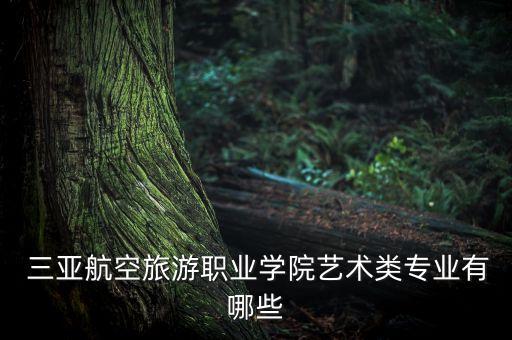 三亚哪学舞蹈好,三亚舞蹈艺术培训中心