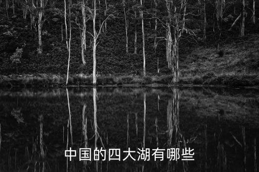 中国的四大湖有哪些