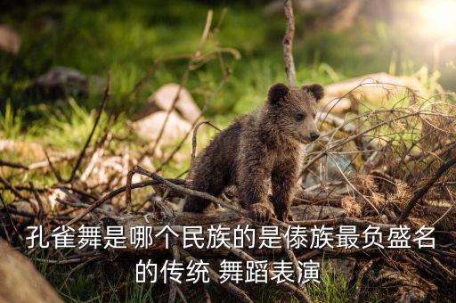  孔雀舞是哪个民族的是傣族最负盛名的传统 舞蹈表演