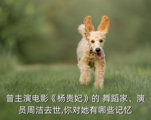 曾主演电影《杨贵妃》的 舞蹈家、演员周洁去世,你对她有哪些记忆