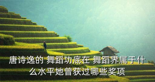 唐诗逸的 舞蹈功底在 舞蹈界属于什么水平她曾获过哪些奖项