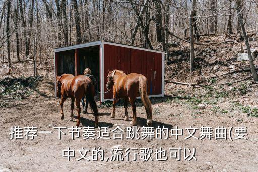 推荐一下节奏适合跳舞的中文舞曲(要中文的,流行歌也可以