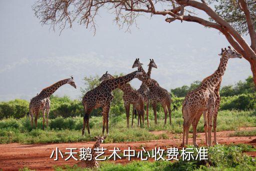儿童版小天鹅舞蹈视频