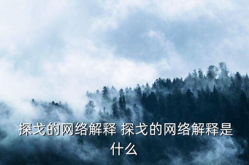  探戈的网络解释 探戈的网络解释是什么