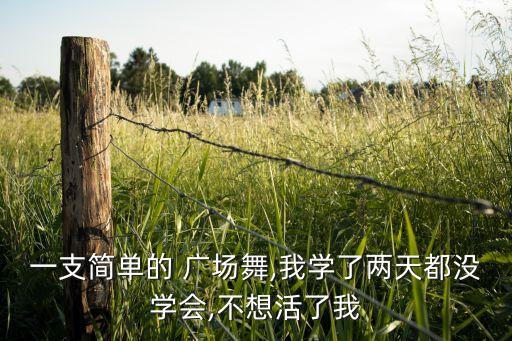 一支简单的 广场舞,我学了两天都没学会,不想活了我