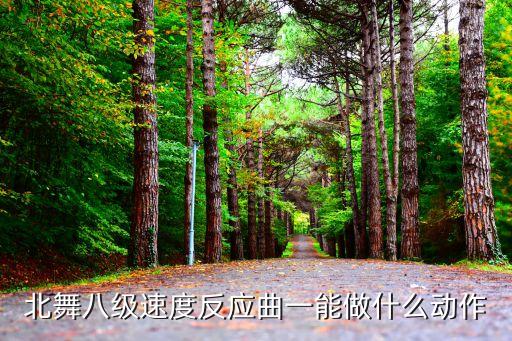 北舞八级速度反应曲一能做什么动作
