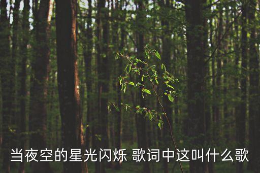 当夜空的星光闪烁 歌词中这叫什么歌