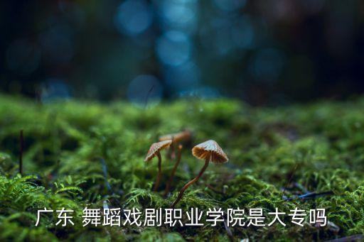 广东 舞蹈戏剧职业学院是大专吗