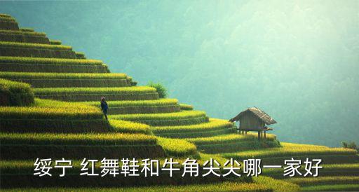 绥宁 红舞鞋和牛角尖尖哪一家好