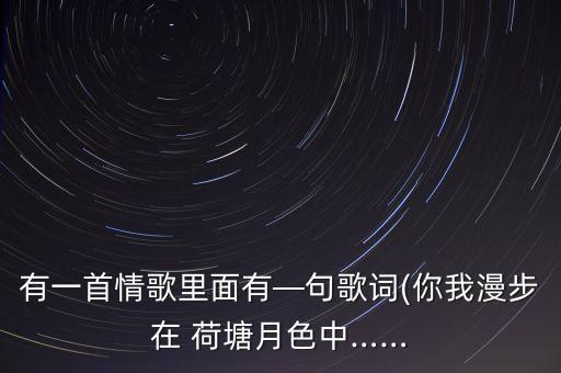 有一首情歌里面有—句歌词(你我漫步在 荷塘月色中……