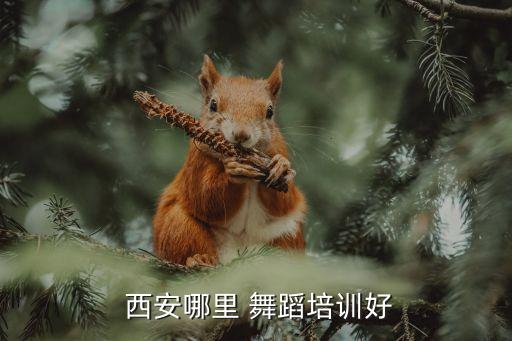  西安哪里 舞蹈培训好