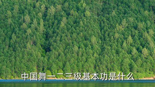 中国舞一二三级基本功是什么