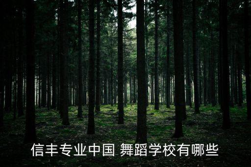 吊绸舞蹈教学视频,美丽的神话舞蹈视频教学完整版